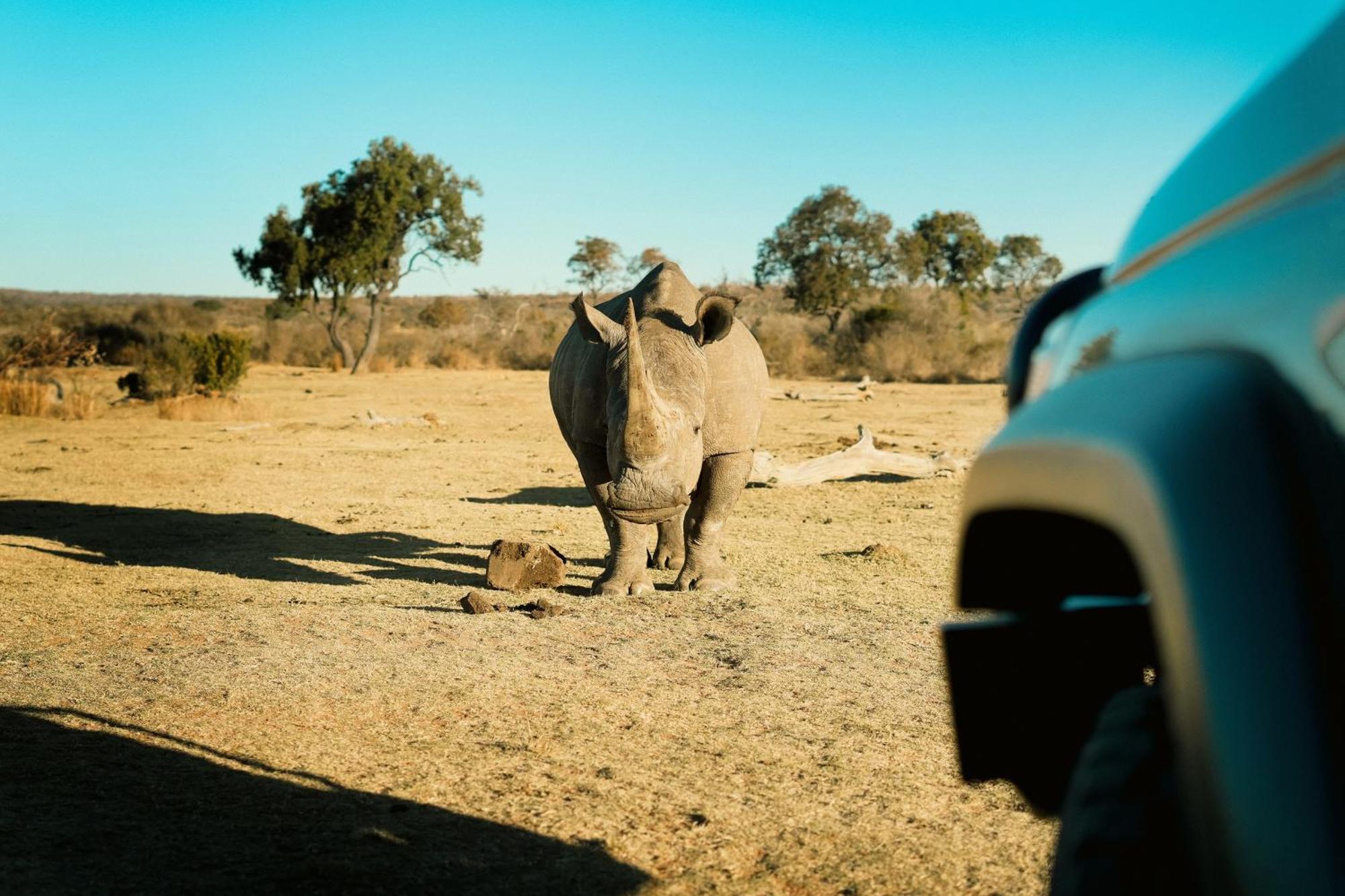 Shibula Safari Lodge Заповедник Велгевонден Экстерьер фото